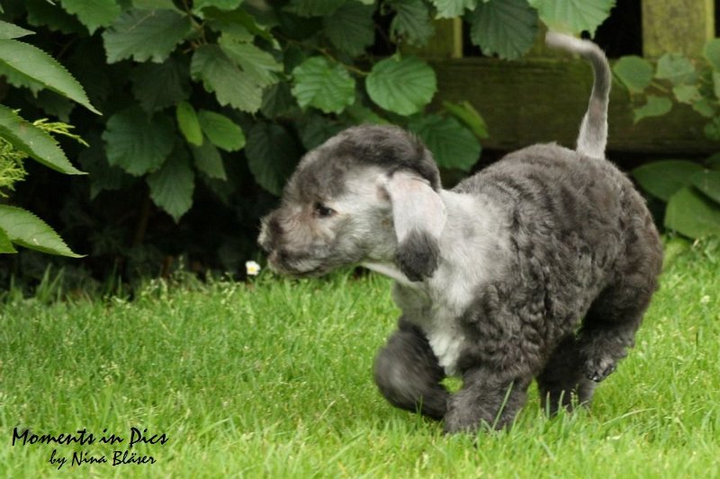 Antares 2009-07-12 (23).JPG